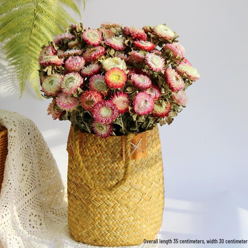 Daisy Dried Flower Bouquet for Living Room and Bedroom Décor - Natural Yunnan Flowers for Display or Photo Props