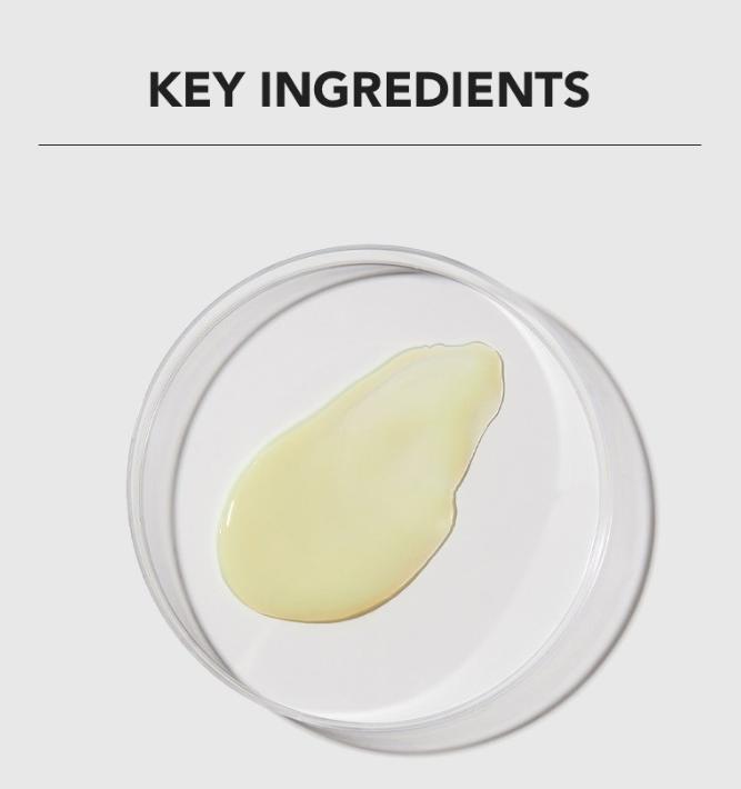 Skin & Lab Retinol Lifting Roller Cream 50ml | Korean Skincare | Anti-Aging & Firming