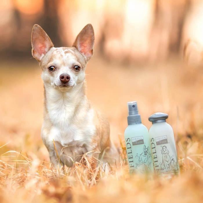 Arborescence Greenfields Hundeshampoo Und -spray Für Die Komplettpflege 2x250 Ml