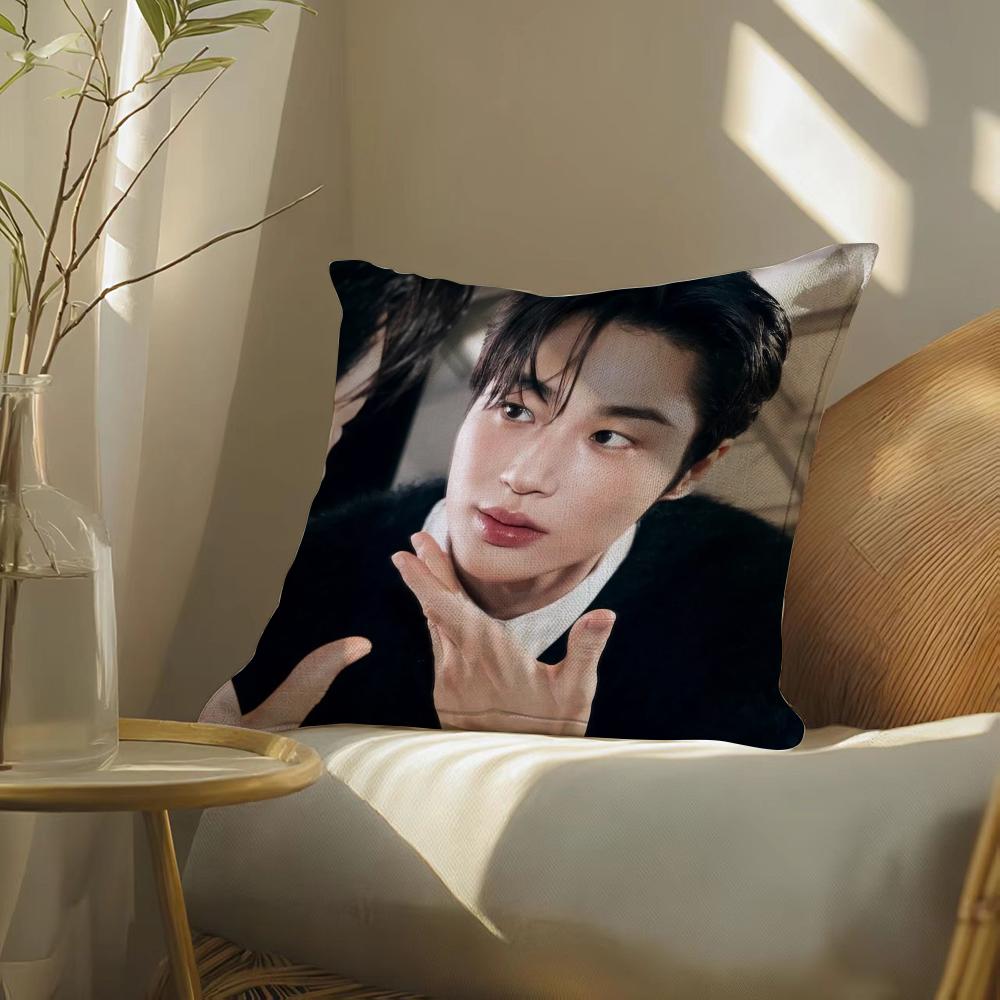 Byeonwoo-Seok Pillow Case Pillowcase, Double-Sided Printed, Sofa Cushion, Bedroom Headboard