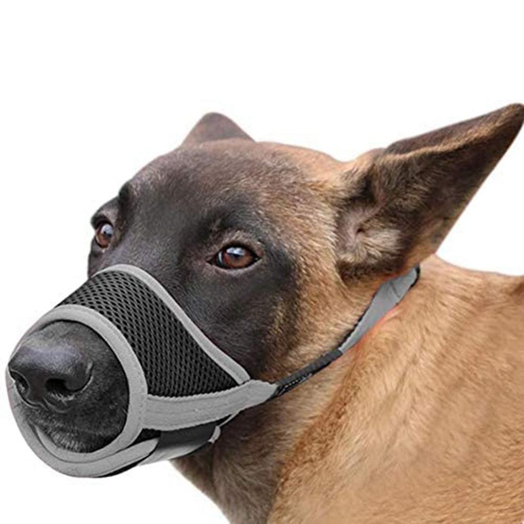 muzzle nylon