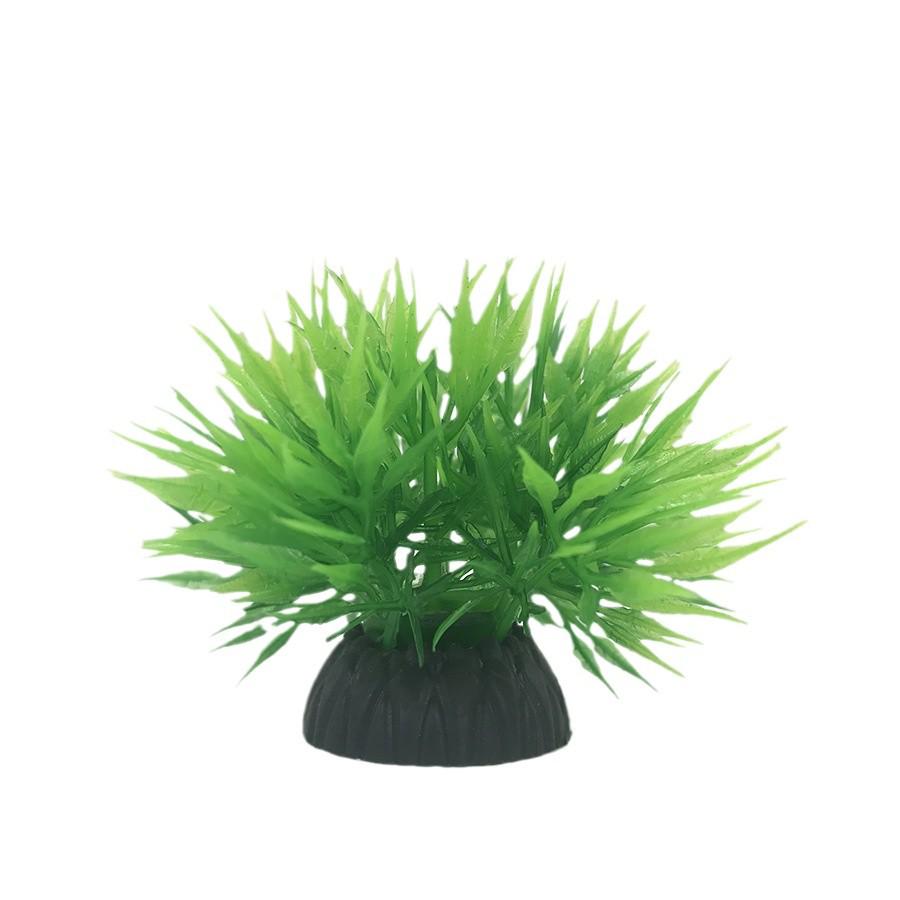 Aquatic Plant Mini Landscape: Fish Tank Simulation with Seaweed and Succulents