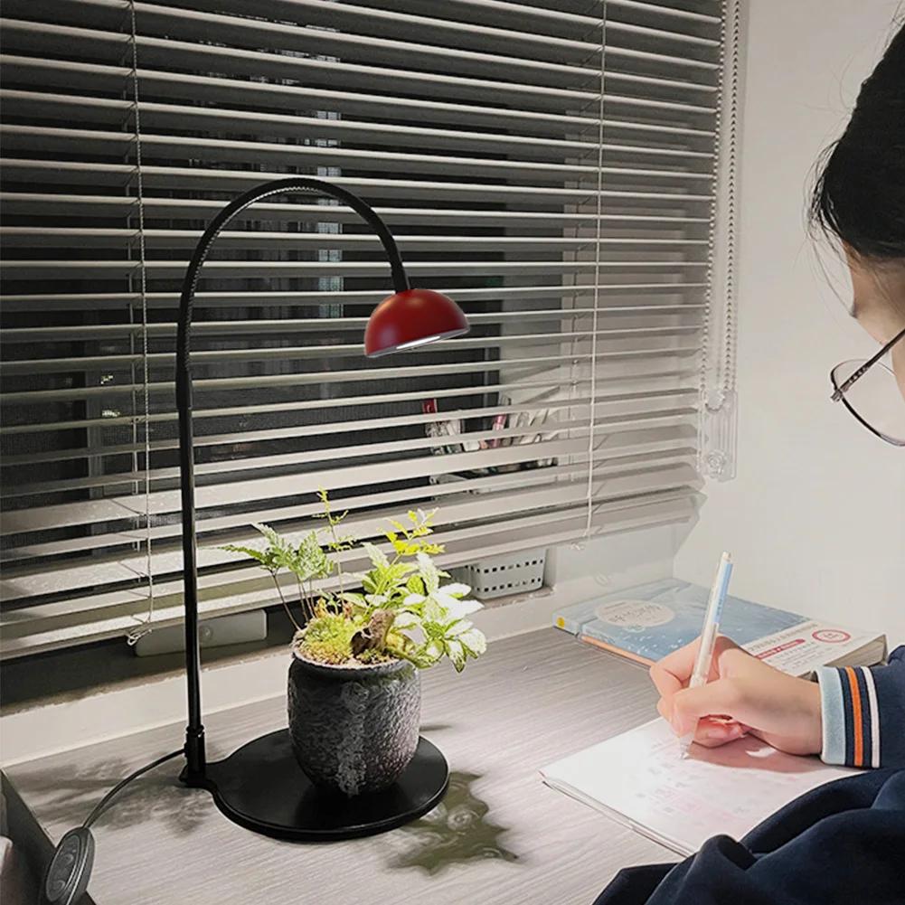 Indoor Plant Growth Lamp with Timmer Full Spectrum Plant Lamp Small Plants Growth Light for Desktop Glass Plant Terrarium