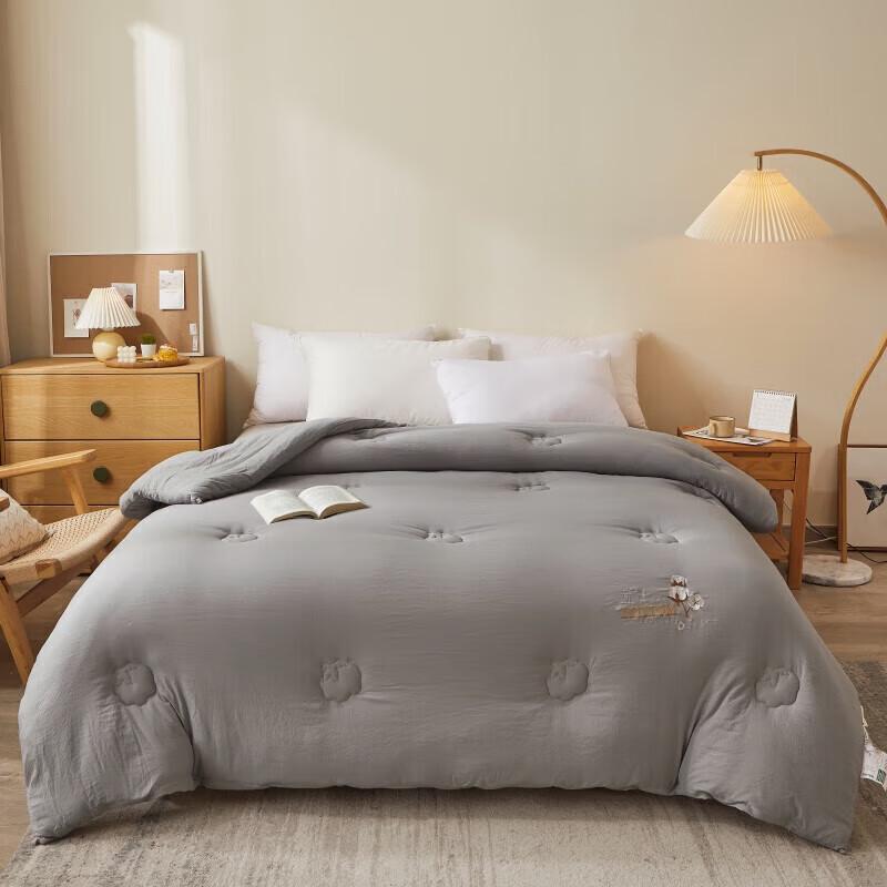 DZQA Class Xinjiang Pure Cotton All-Season Quilt