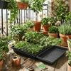 Ghivece de flori și coșuri – Containere pentru răsad