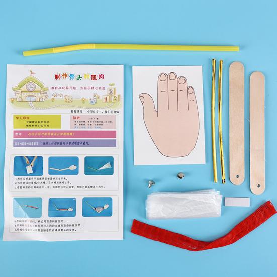 1 Set DIY Bone Muscle Model Kit Handmade Wooden Puzzle Human Arm