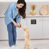 New Magnetic Pet Feeding Reminder For Dog & Cat Fed Sign -Daily Am/Pm Chart Slider Sign For Pet Fed And Pill Reminder Tool Decor