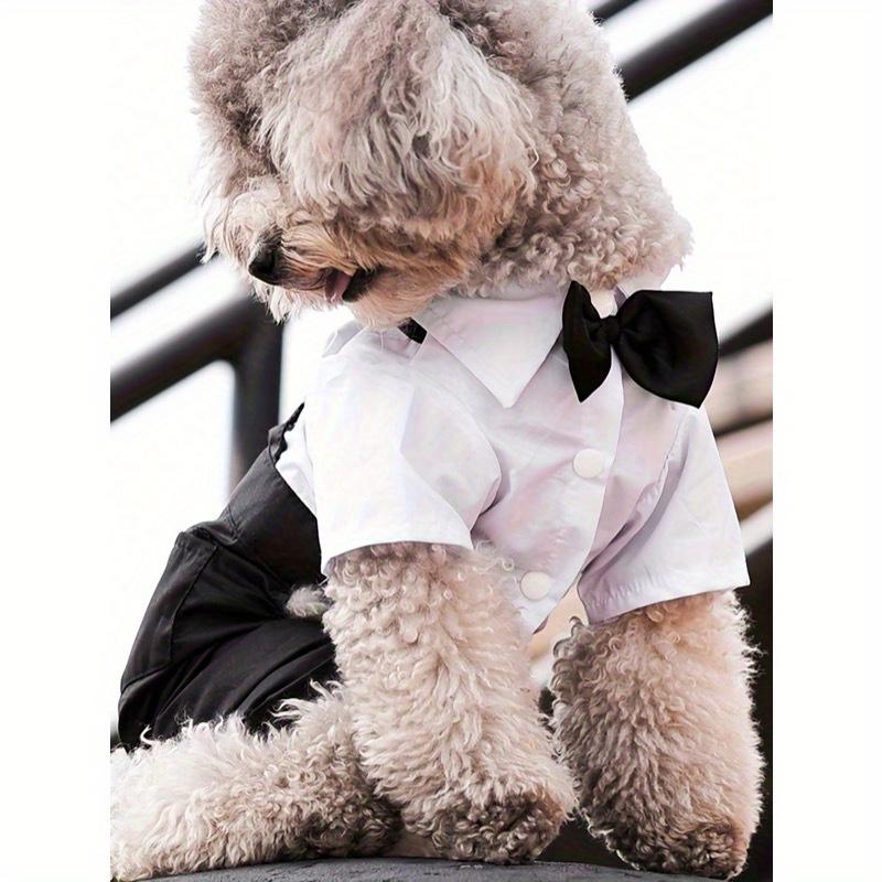 1pc Pet Cooling Shirt, 4-Leg Design, Formal Collar, Cat Dog Clothes