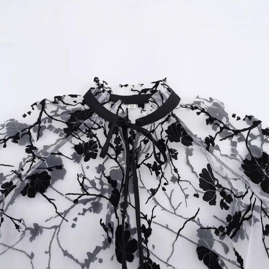 Spring 2025 Women's Fashion: European & American Style Sheer Long Sleeve Top