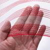 Christmas Mesh Ribbon 10 Inch X 10 Yards Red/Red White