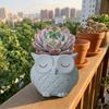 Ceramics Succulent Pot Cute Cactus Pot Unique Owl Planter  Balcony