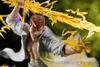 KOTOBUKIYA Yu Yu Hakusho ARTFX J Kazuma Kuwabara scale PVC painted finished figure Ver.2 1/8