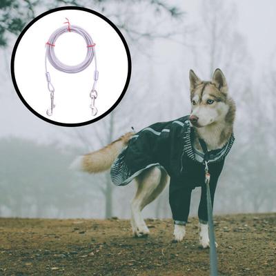 Psi – Obojky a vodítka pro psy