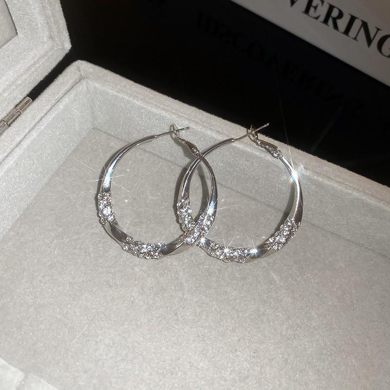 High-End Light Luxury Cold-Style Metal Hoop Earrings