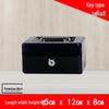 Portable Thickened Metal Cash Box with Lock and Password, Secure Storage Organizer