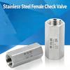 One Way Valve 1/8 1/4 3/8 1/2 3/4 BSP Thread Air Compressor Non Return Valve 304 316L Stainless Steel Pneumatic Check Valve