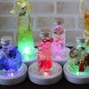 Herbarium Display Light LED Coaster Figurine Light-Up Rainbow Stand Base Battery Operated LED (6 Pieces)