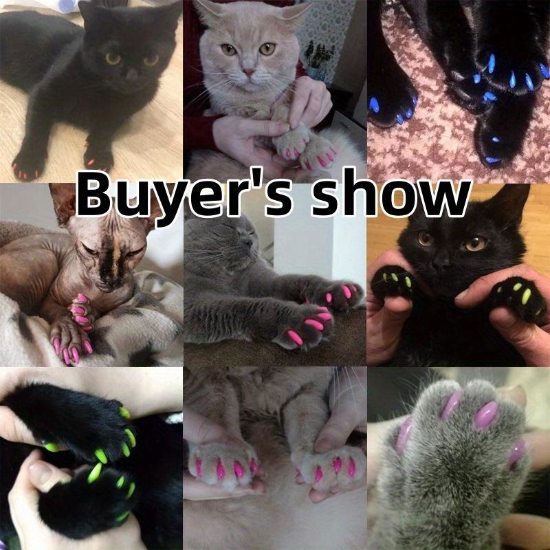 20 Stück Schicke Kratzfeste Haustier-Nagelkappen für Katzen - Strapazierfähiges PVC, Nicht-Elektrisch, Modisches Katzenzubehör-Set