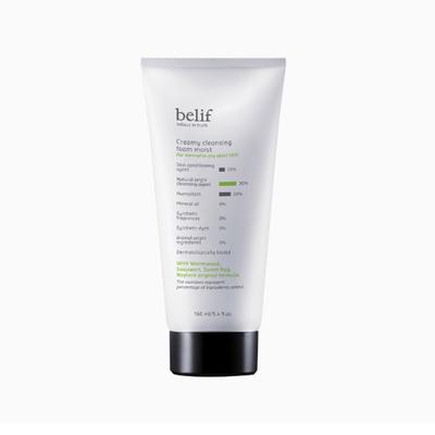 Creamy Cleansing Foam Moist 160ml
