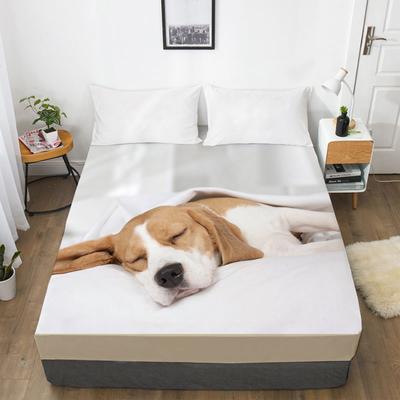 Fashion Home Textile Puppy and Kitten 3D Printing Pattern Bed Sheet Mattress Cover Elastic Band Bed Sheet Bedding