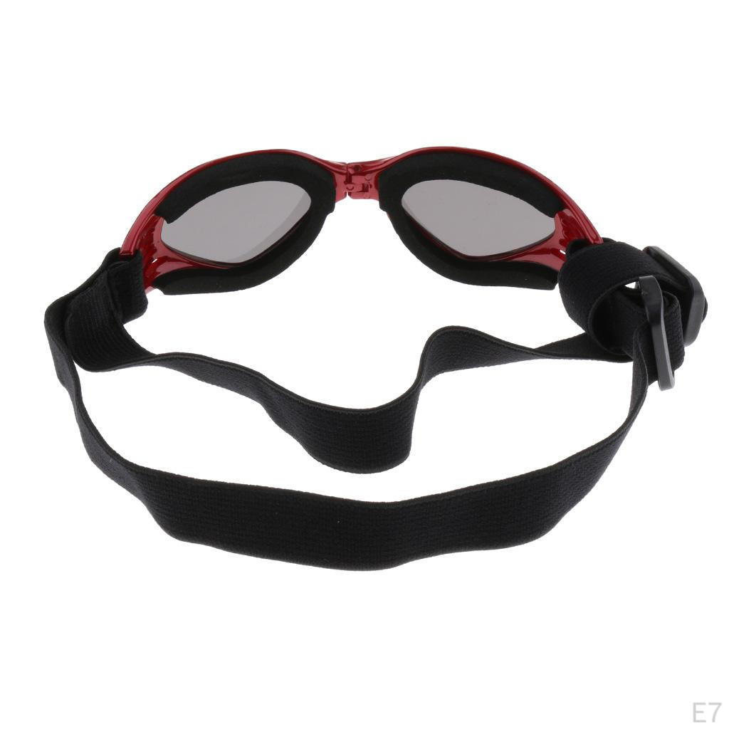 Medium Dogs Goggles Sunglasses