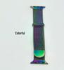 Apple Watch Two-Section Milanese Magnetic Band for iWatch S10