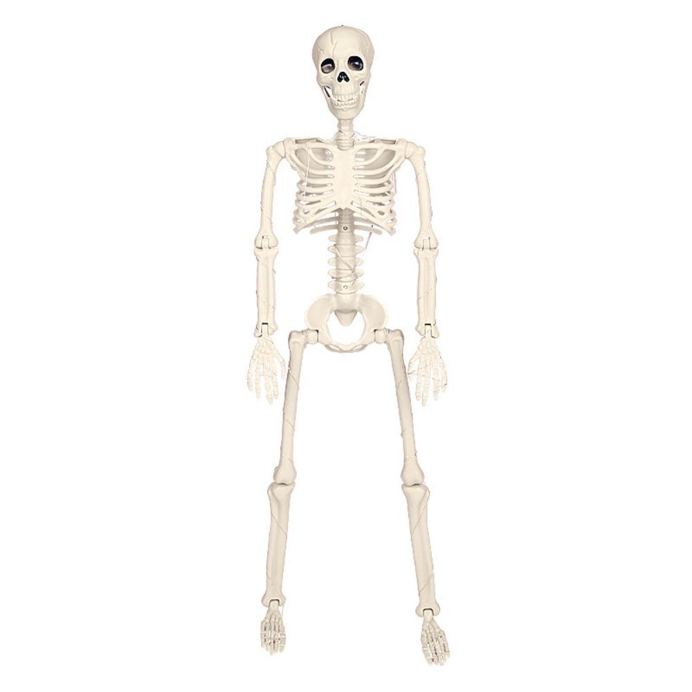 LED Lights Skeleton Human Model Decoration Glow In Dark Scary Decoration  Haunted House