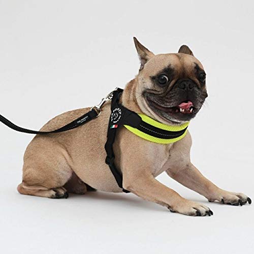 Tre Ponti Fibbia Adjustable Soft Mesh Harness for Dogs, Cushioned and Breathable (LTP123) (Size 4, Green)