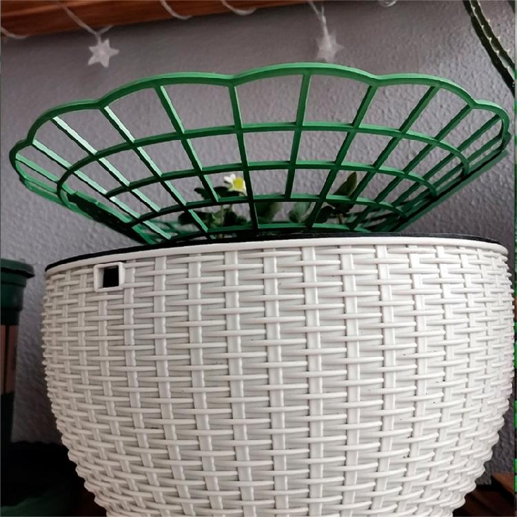 Strawberry Supports Stand Strawberry Plant Supports Cages Climbing Trelli