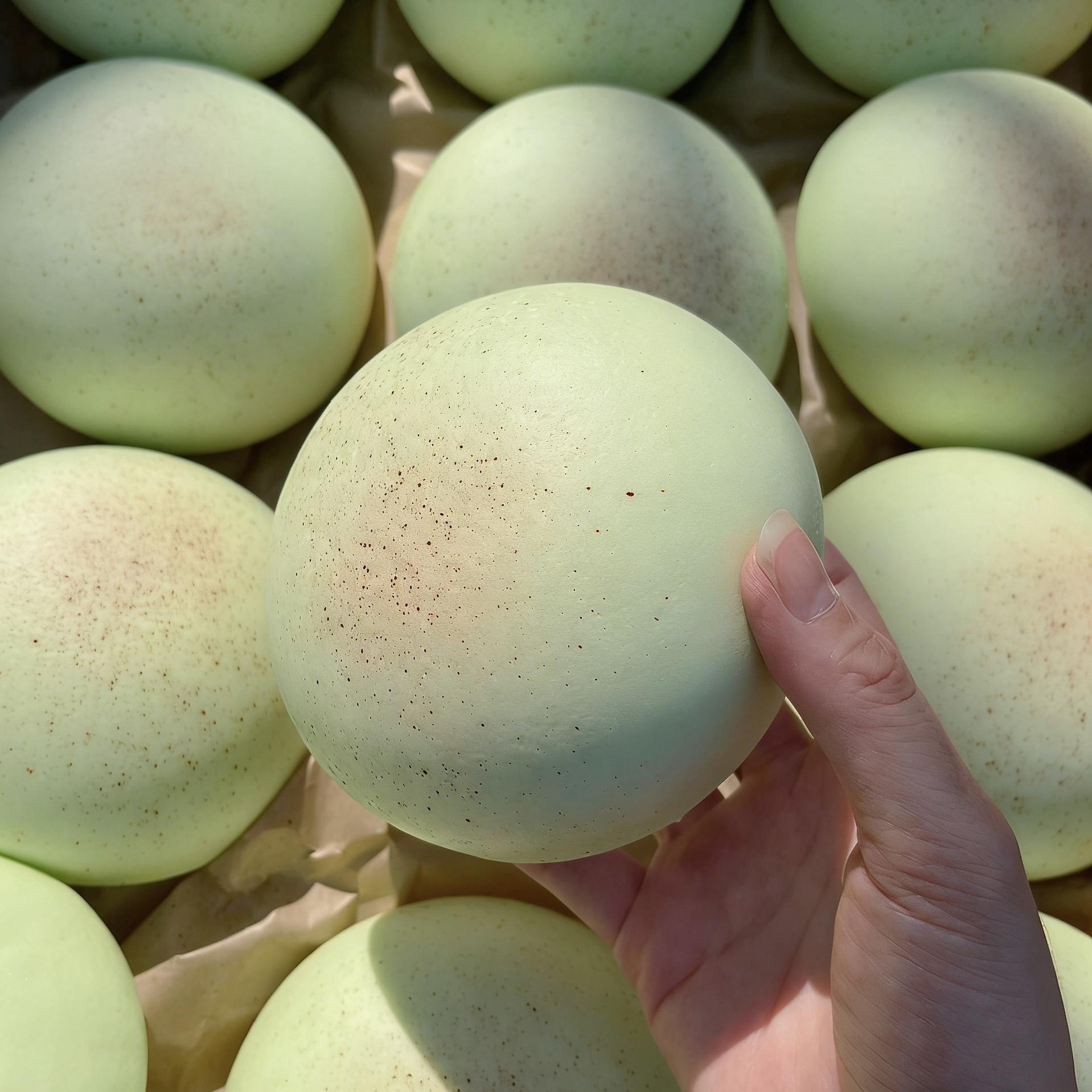 

Taro-Shaped Squeeze Soft Toy, Cute Squeeze Toy, Finger Toy, Fruit, Vegetable and Desserts, Soft Girl Birthday Gift Toy