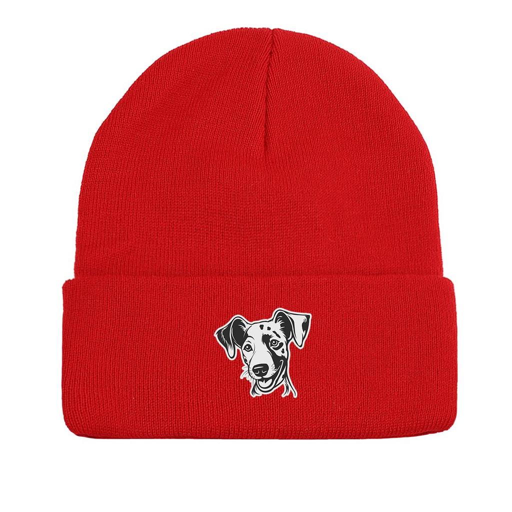 Dog Picture Print Knit Cap Beanie, Animal Woman Cap Windproof Fit Hip Hop Bobble Hat Knitted Hat Beanie
