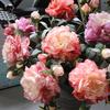 Artificial Flowers Bendable Stems Adjustable Luxury Peony Bouquet Realistic Silk Petals Home Decor for Living Room Dining Table Centerpiece