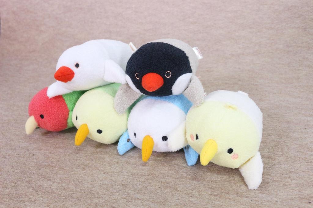Shinada on top Mame Fuku cockatiel