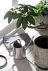Sato Metal Freya Watering Can, Silver, Size: Approx. W22.5 D11 H17.2, 4521540259032