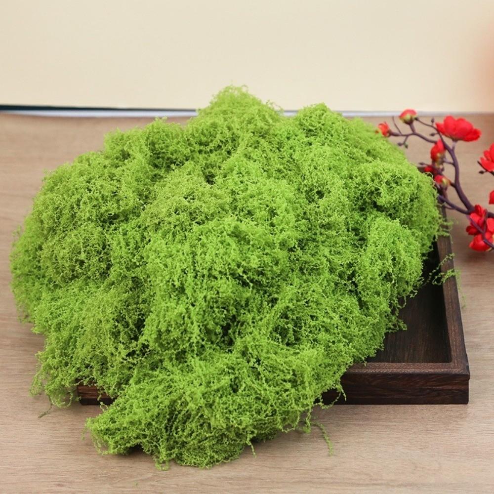 Polyester Artificial Moss Plants DIY Craft Realistic Texture Faux Preserved Moss No Watering No Fading Preserved Reindeer Moss