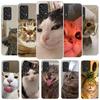 Pet Cat Funny Memes Phone Case For Samsung Galaxy A12 A22 A32 A52 A72 A02S Phone Case Note 20 Ultra 10 S10 Plus A51 A71 A50S A20