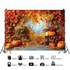 1pc, 2D flat, autumn Thanksgiving harvest backdrop, perfect for a friend's party, photo booth props, wsj