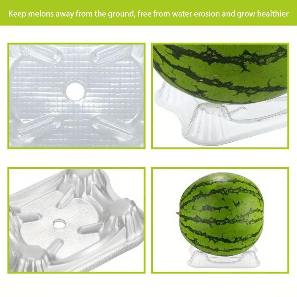 20/50/100pcs Transparent Fruit Plant Tray Fruit Protection Vagetable Support Tray Watermelon