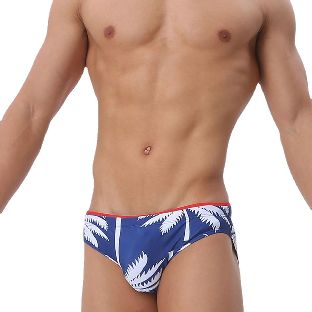 Men's  Fashion Strips Sexy Men's Brief Sexy Printed Swimsuit for Men Surfing Swimwear Low-Rise