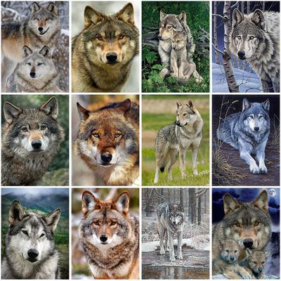 DIY Wolf 5D diamantová malba Celokulatý vrták Animal Diamantové vyšívání Křížovým stehem Mozaikové sady Pryskyřice Nástěnné umění Domácí dekorace