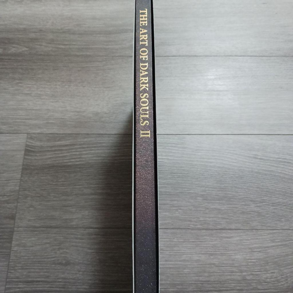 [USED] DARK SOULS II Collector's Edition (bonus Only)