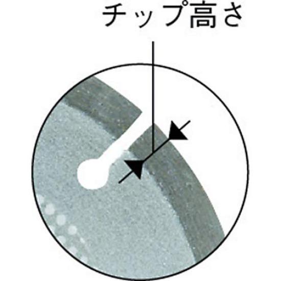 BOSCH Diamond Wheel Segment Type 125mm [DS-125PE]