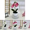 Butterfly Orchid Imitation Plant For Party Decorations And Photography Shoots