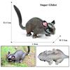 Oenux Wild Animals Simulation Rodent Marmot Mouse Model Squirrel Rat Chinchilla Action Figure Figurine Collection Cute Kid Toy