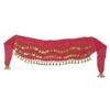 Gold Coin and Sequin Belly Dance Waist Chain and Hip Scarf Costume