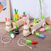 Wooden Educational Pull-Along Radish & Rabbit Fruit Matching Toy for Babies
