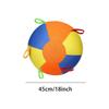 25/45/55CM Inflatable Herding Ball for Dogs with Handle, Calming Puppy Toy for Outdoor Yard Small Dog Water Play & Exercise Pool