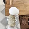 Letter Print Pet Baseball Clothing Winter Thickened Dog Sweatshirt Teddy Warm Clothes Bichon Frise Soft Pullover