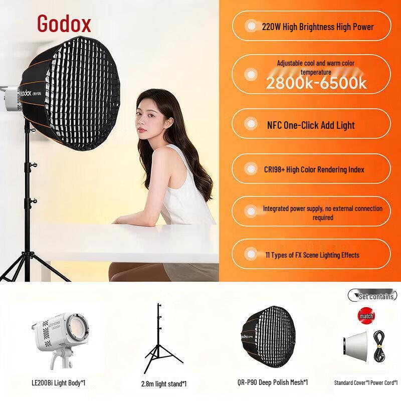 Godox LE300Bi Bi-color LED Video Light