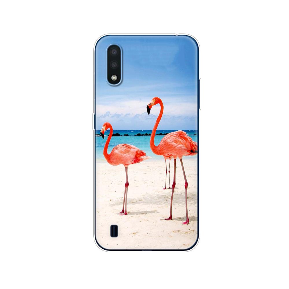 For Samsung M01 Case 5.7" Soft Silicon Tpu Cover For Samsung Galaxy M01 M 01 SM-M015FZBDSER M015 Phone Back Shell Bumper Funda